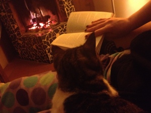 A warm fire, good book, pjs, and a purring kitty, could you want more?